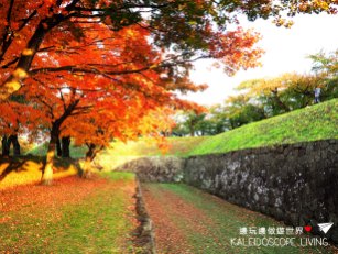 Travel_Japan_Hakkaido_Hakodate_Goryokaku_Park_Autumn_Maple_Red_Leaves_秋天_紅葉_日本_北海道_旅遊_五稜郭