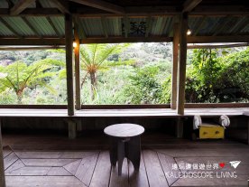 Travel_Japan_Okinawa_Beach_Rock_Village_Cafe_Forest_Tree_House