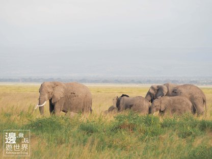Must Travel Kenya Safari Holiday in Amboseli National Park with Mount Kilimanjaro Masai Elephant Twins