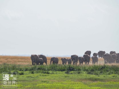Must Travel Kenya Safari Holiday in Amboseli National Park with Mount Kilimanjaro Masai Elephant Herds
