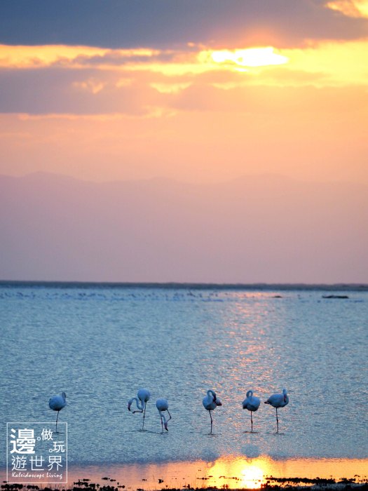 Must Travel Kenya Safari Holiday in Amboseli National Park with Mount Kilimanjaro Masai Sunset Flamingos