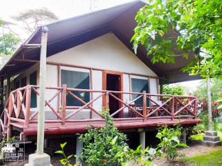 Travel to Kenya Lake Naivasha Crescent Camp Stay 非洲肯亞